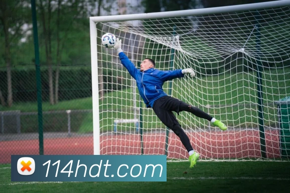 果动体育官网平台生态图