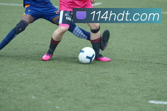 果动体育官网APP 封面图